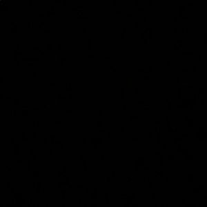 Meet your Posher, Isabel